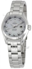 Omega Seamaster Aqua Terra Steel Silver Dial Omega Seamaster Aqua Terra Steel Silver Dial