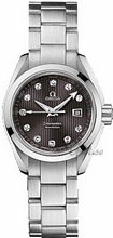 Omega Seamaster Aqua Terra Steel Grey Dial Omega Seamaster Aqua Terra Steel Grey Dial
