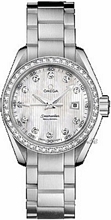 Omega Seamaster Aqua Terra Steel Silver Dial Omega Seamaster Aqua Terra Steel Silver Dial